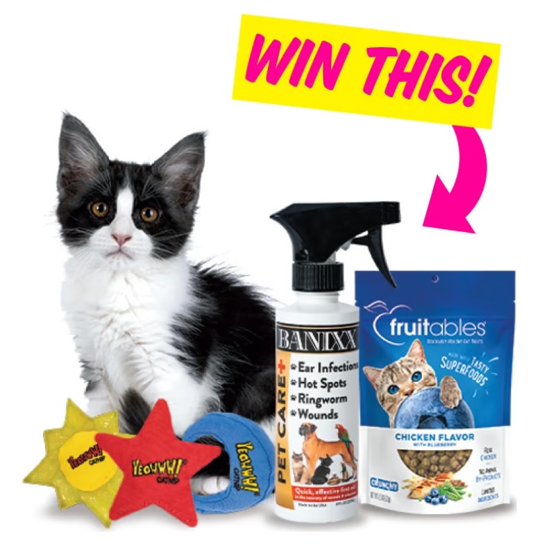 Feline Wellness Prize Packs from Banixx